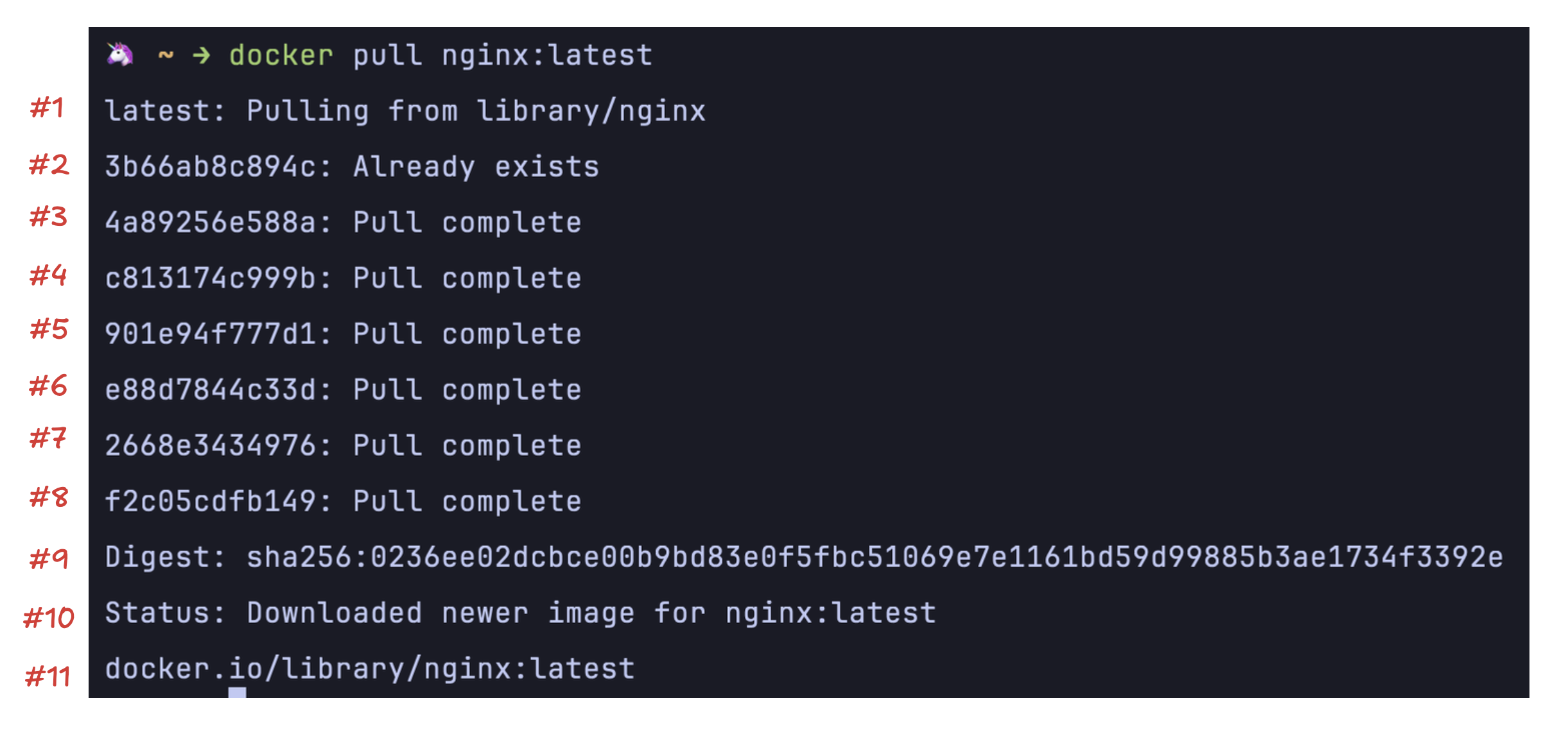 docker pull nginx:latest output